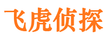 沐川婚外情取证